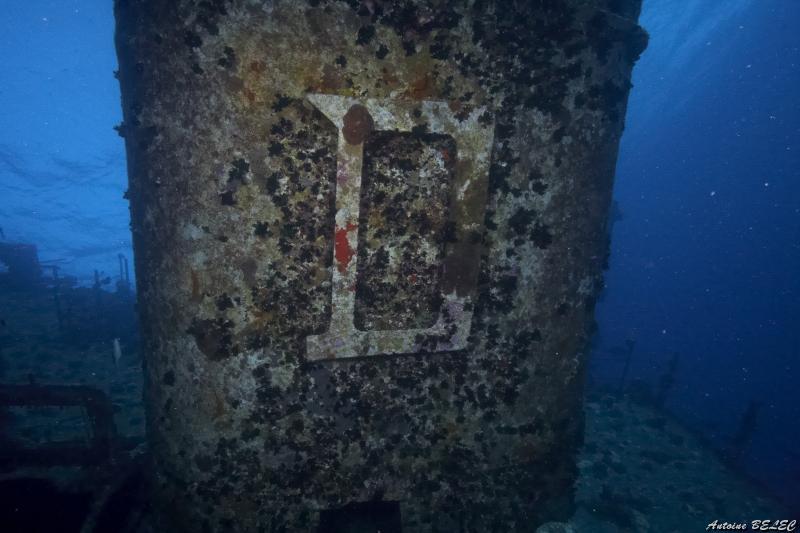 d (3) ghanis.jpg